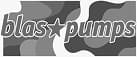 BlasPumps logo